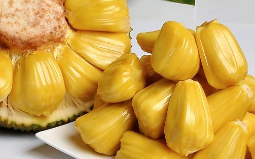 菠蘿蜜什么季節(jié)吃最好 哪里產(chǎn)的菠蘿蜜最好吃