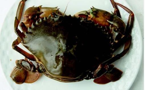 黃油蟹什么季節吃最好 黃油蟹幾月吃最好