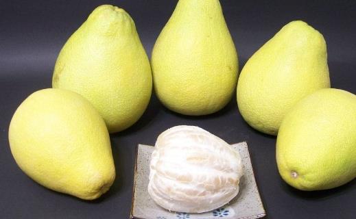 柚子什么時候上市 柚子成熟的季節是幾月