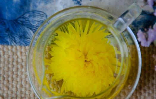 菊花茶什么季節喝最好 喝菊花茶最佳時間