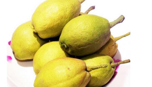 香梨是什么季節(jié)的水果 香梨成熟季節(jié)