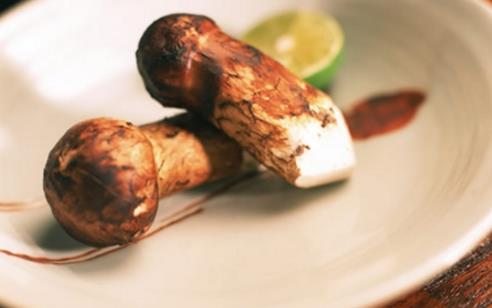 松茸什么時候吃最好 松茸最佳食用季節(jié)