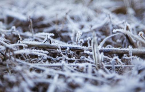 打霜是什么時候 什么季節打霜