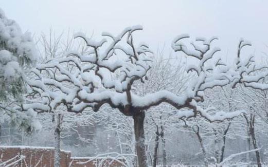 2018北京什么時候下雪 2018北京下雪時間預測