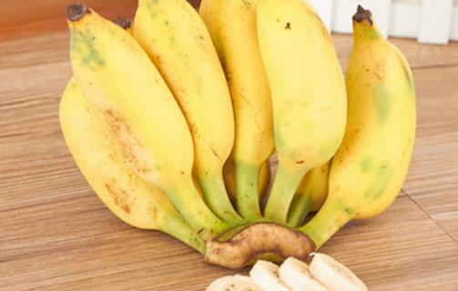 芭蕉是什么季節(jié)的水果 芭蕉成熟季節(jié)