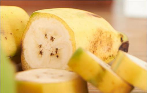 芭蕉是什么季節(jié)的水果 芭蕉成熟季節(jié)