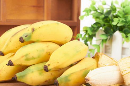 芭蕉是什么季節(jié)的水果 芭蕉成熟季節(jié)