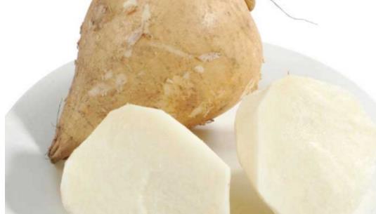 涼薯什么時候成熟 涼薯成熟季節(jié)