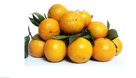 皇帝柑什么時(shí)候上市 皇帝柑成熟季節(jié)