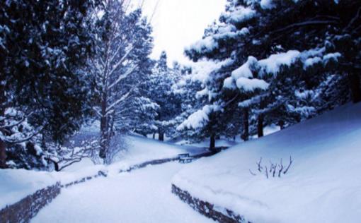 大雪節氣適合釣什么魚 大雪釣魚用什么餌料好