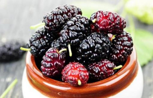 桑葚泡酒多久可以喝 桑葚泡酒什么時候喝最好