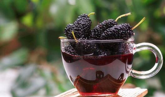 桑葚泡酒多久可以喝 桑葚泡酒什么時候喝最好