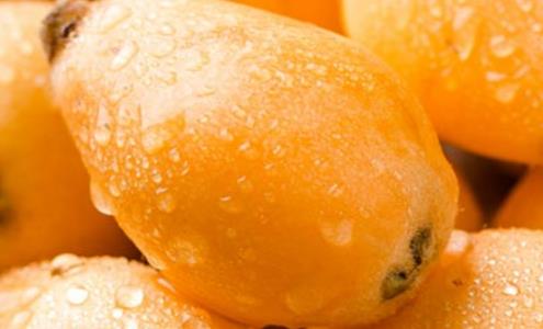 枇杷什么時候吃最好 吃枇杷最佳時間