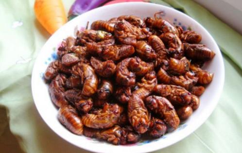 知了猴幾點出土 知了猴出土時間是什么時候