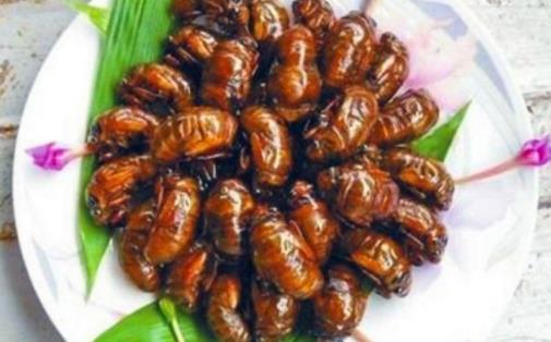 知了猴幾點出土 知了猴出土時間是什么時候