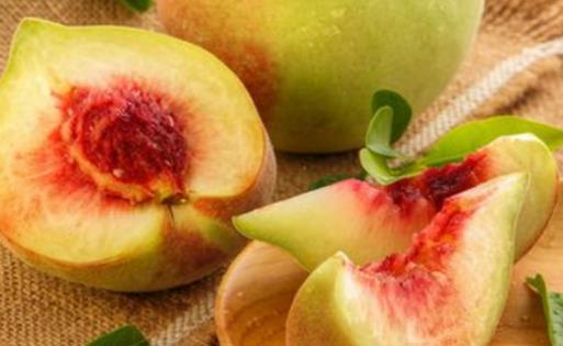 鷹嘴桃什么時(shí)候最好吃 鷹嘴桃什么時(shí)候成熟