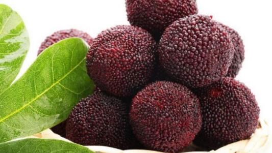 慈溪楊梅什么時候成熟 慈溪楊梅什么時候可以吃