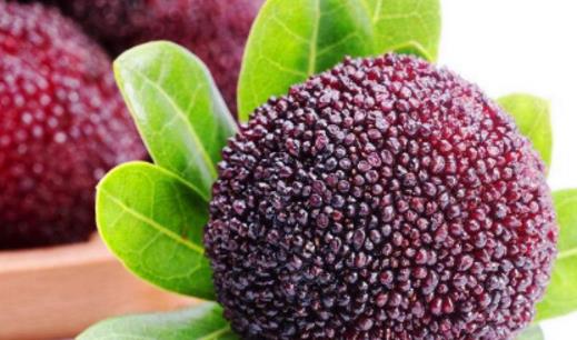 慈溪楊梅什么時候成熟 慈溪楊梅什么時候可以吃