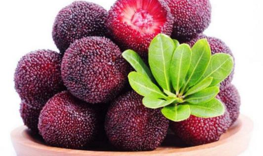 慈溪楊梅什么時候成熟 慈溪楊梅什么時候可以吃