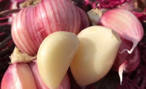 大蒜水可以空腹喝嗎 大蒜水什么時(shí)候喝比較好