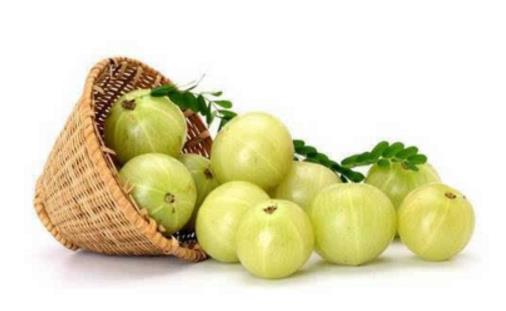 余甘果什么時候成熟 余甘果幾月份成熟