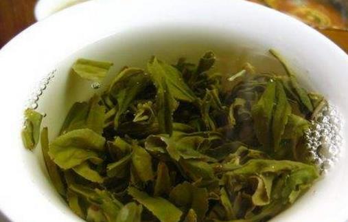 日照綠茶什么時候上市 日照綠茶什么時候采摘最好