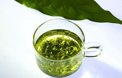 日照綠茶什么時候上市 日照綠茶什么時候采摘最好