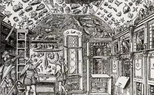 好奇柜2妙幻博物館上海展時間 好奇柜2妙幻博物館開放時間