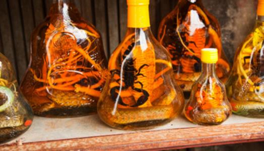 補腎壯陽藥酒什么時候喝好 喝補腎壯陽藥酒最佳時間