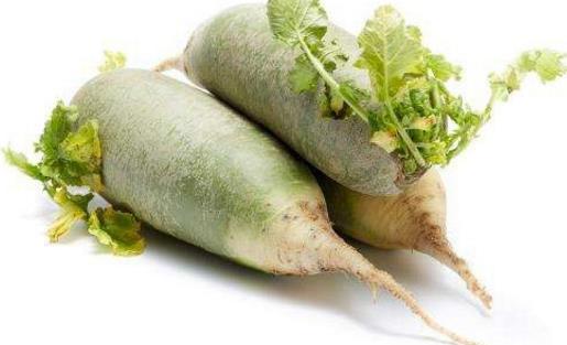 沙窩蘿卜什么時候上市 沙窩蘿卜成熟季節