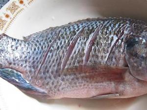 �a�~ʲô�r������ �a�~��������