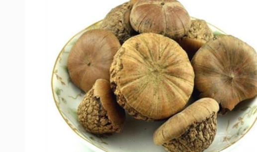 壯陽果什么時候成熟 壯陽果幾月成熟