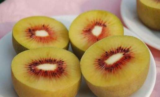 紅陽獼猴桃什么時候采摘 紅陽獼猴桃幾月成熟