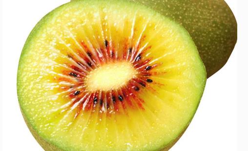 紅陽獼猴桃什么時候采摘 紅陽獼猴桃幾月成熟