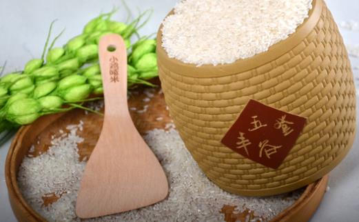 五常大米什么時候種植 五常大米種植時間