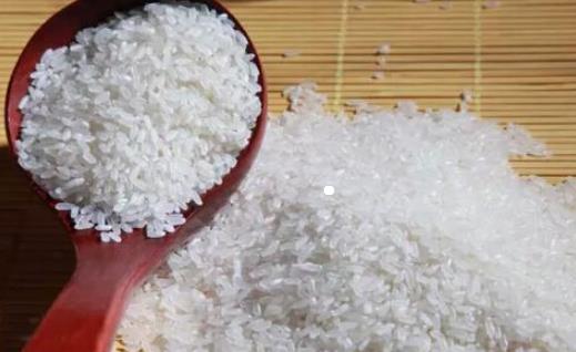 五常大米什么時候收割 五常大米收割時間