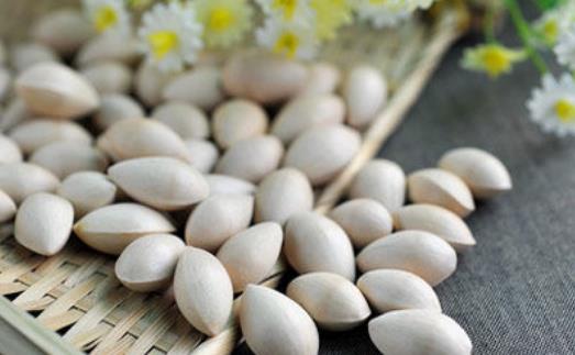 白果什么時(shí)候采摘 白果采摘時(shí)間