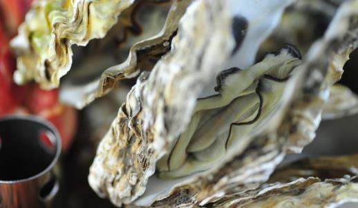 海蠣子最肥時(shí)候