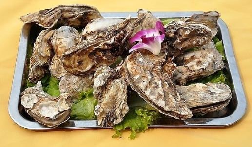 海蠣子最肥時(shí)候