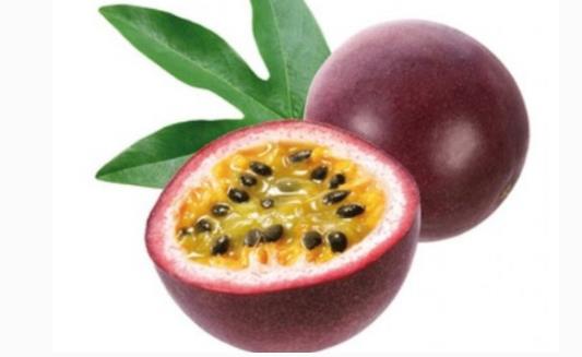 什么時(shí)候種植百香果最適宜 百香果最佳種植時(shí)間