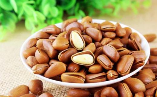 松子什么時候成熟 松子成熟時間