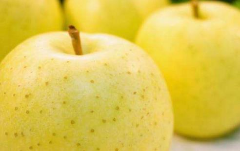 王林蘋果什么時候成熟 王林蘋果成熟季節