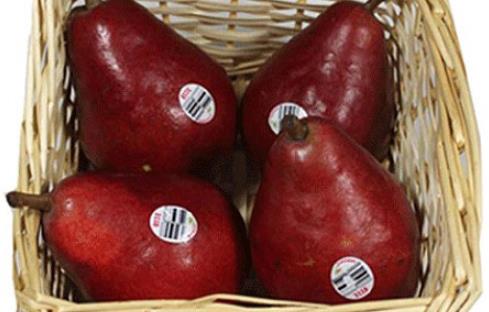 紅啤梨什么時候成熟 紅啤梨成熟季節