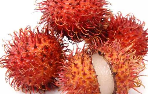 紅毛丹什么時候成熟 紅毛丹成熟季節(jié)