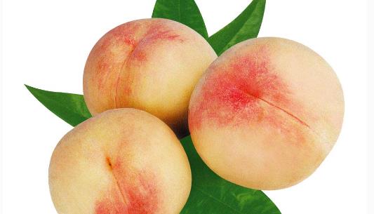 突圍桃什么時候成熟?突圍桃幾月份成熟