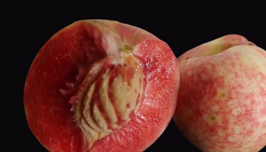 中華血桃什么時候成熟 中華血桃成熟季節(jié)