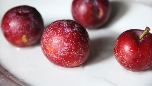 脆紅李什么時候成熟?脆紅李幾月成熟?