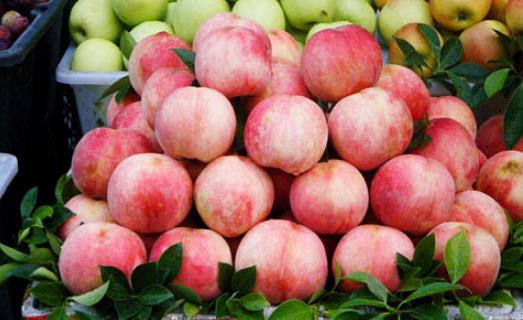 奉化水蜜桃什么時候上市?奉化水蜜桃上市時間