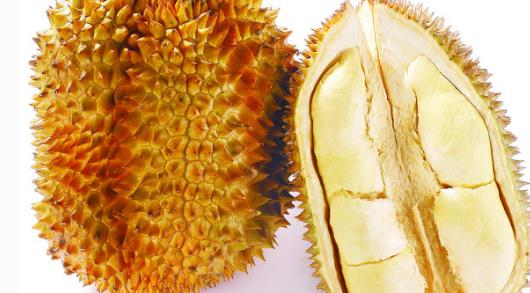 金枕頭榴蓮幾月份上市?金枕頭榴蓮上市時間