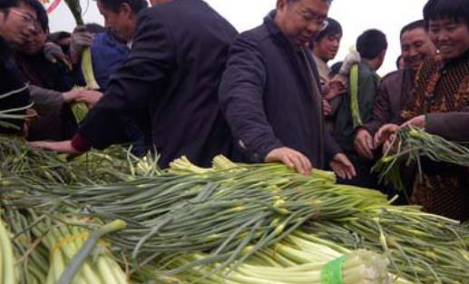 蒜薹什么時(shí)候采收?蒜薹什么時(shí)間抽